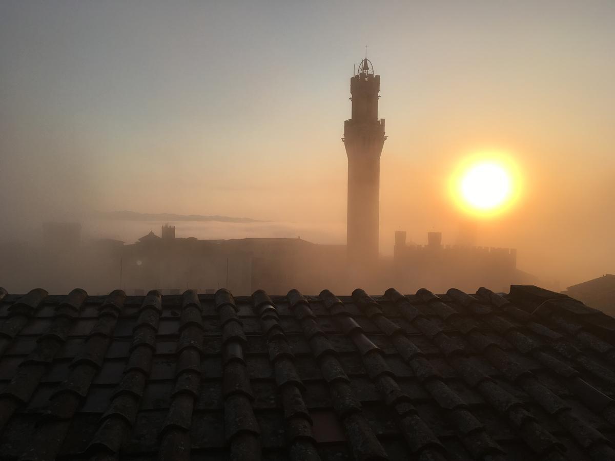 Il Nido Lägenhet Siena Exteriör bild